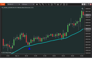 TIS Rebote – Market Bounce Signal Indicator – NinjaTrader 8 indicator
